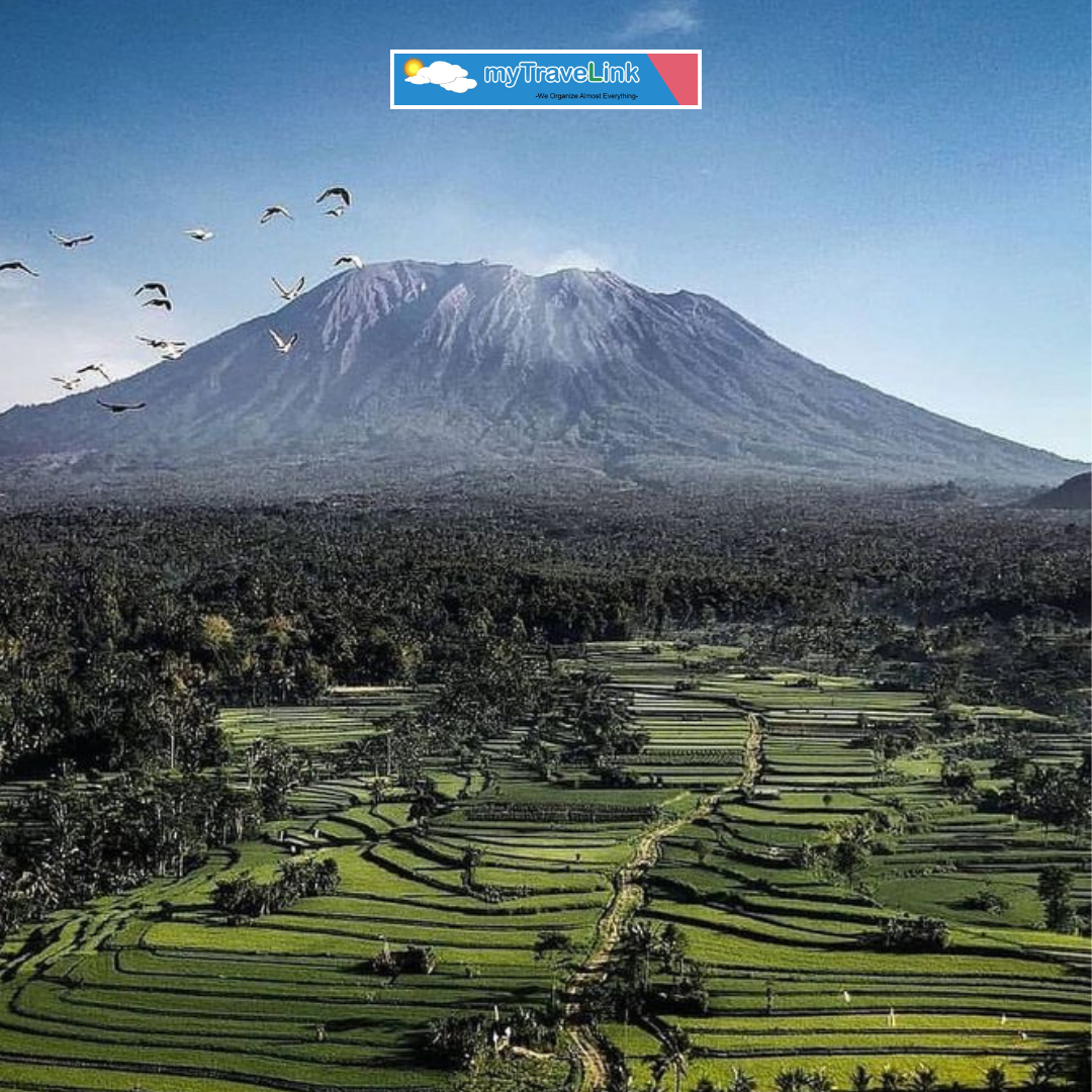 Savana Tianyar Bali: Hidden Gem dengan Panorama Gunung Agung