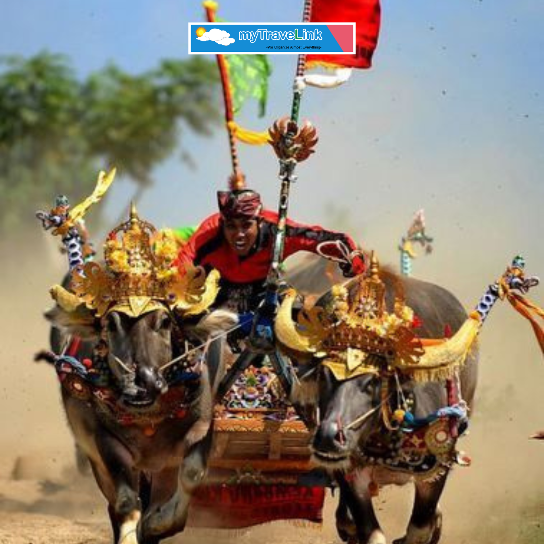 10 Festival Budaya Indonesia yang Wajib Masuk Kalender Liburanmu