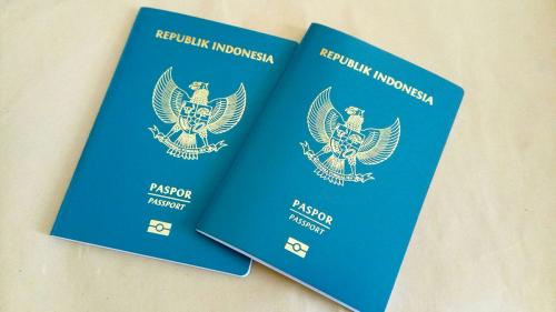 Mengenal 7 Jenis Visa di Indonesia