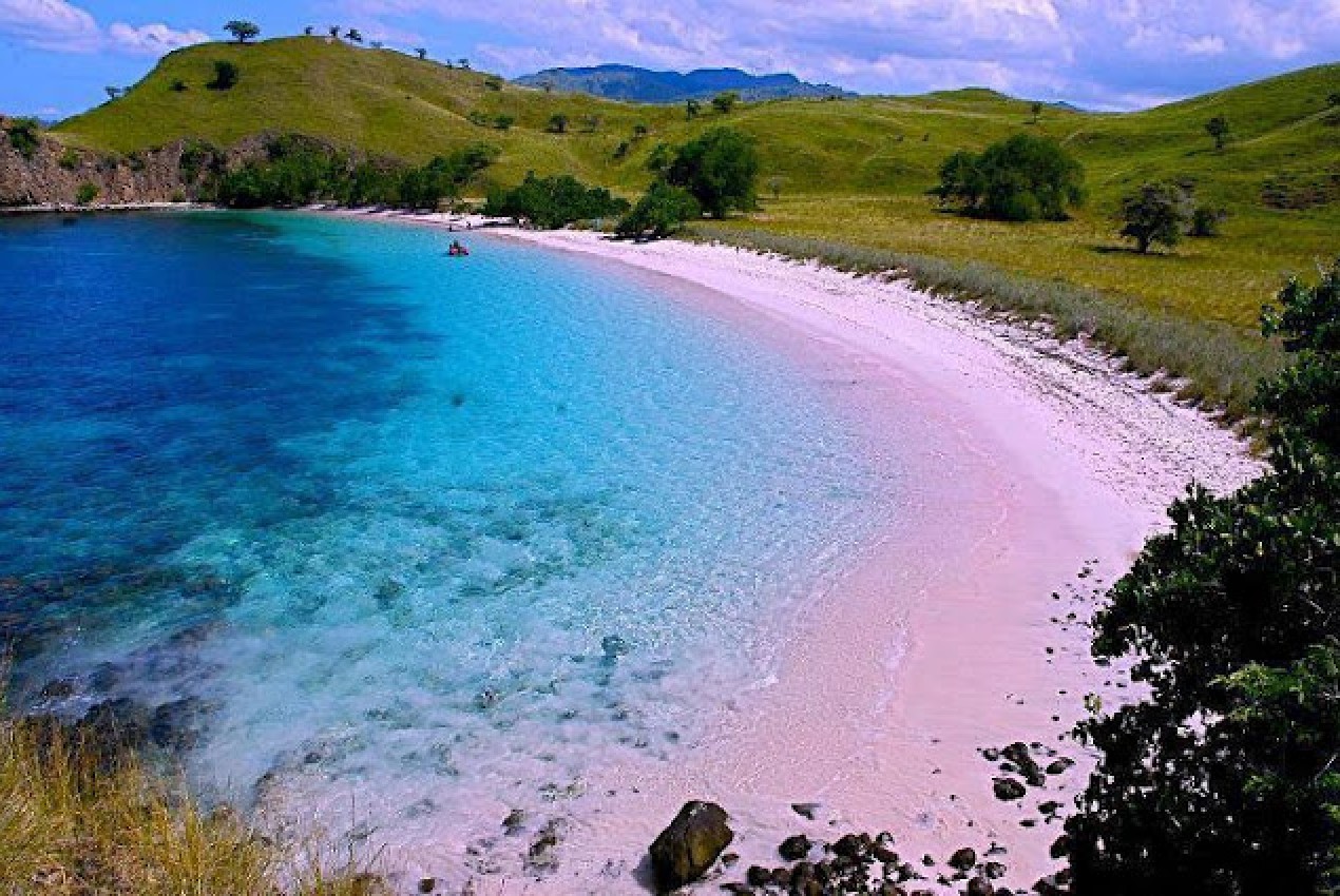 PANTAI PINK LOMBOK SEBAGAI DESTINASI WISATA MENDUNIA