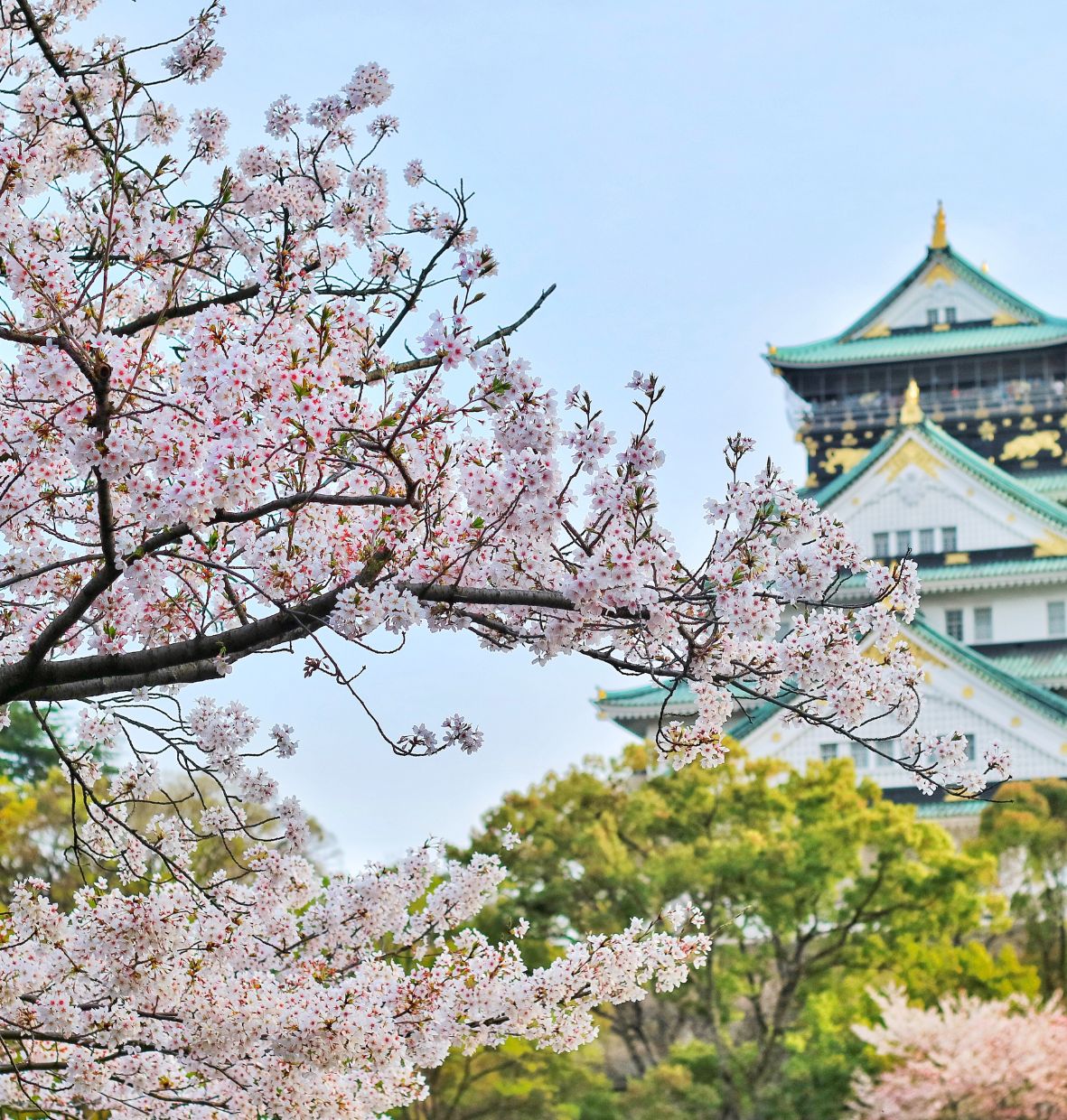 ALASAN MENGAPA ANDA HARUS BERLIBUR KE TOKYO