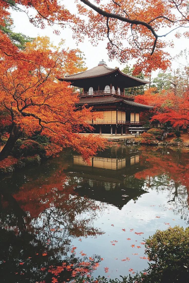 Kyoto, Jepang Musim Gugur: Perpaduan Budaya dan Keindahan Alam yang Memesona