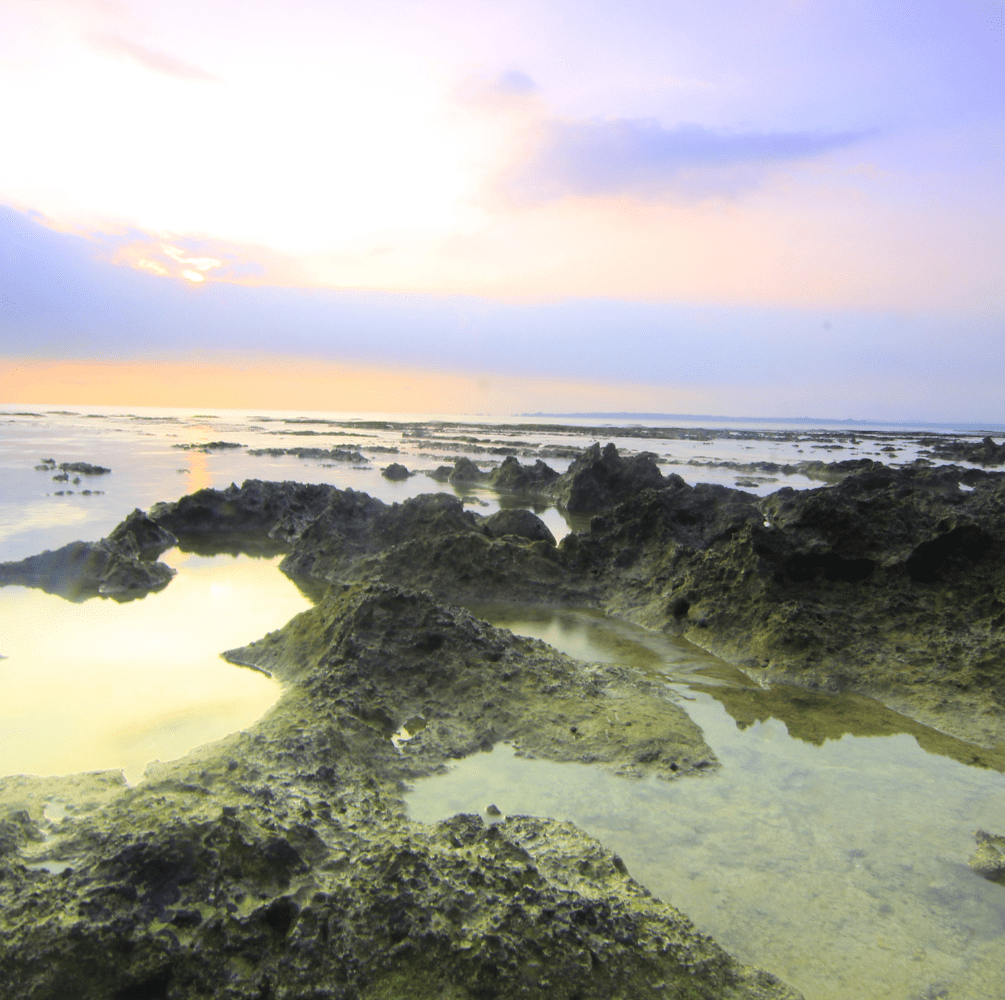 Ujung Kulon